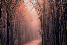 凯发娱乐：7连胜！62岁穆帅封神，68天没输球了 再批裁判：我们本可领先9分.