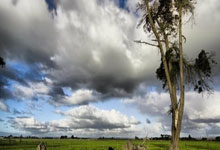 凯发娱乐：弗裏克信任年輕將領 傑拉德-馬丁談嚴苛訓練與未來.