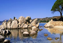 凯发娱乐：弗裏克信任年輕將領 傑拉德-馬丁談嚴苛訓練與未來.